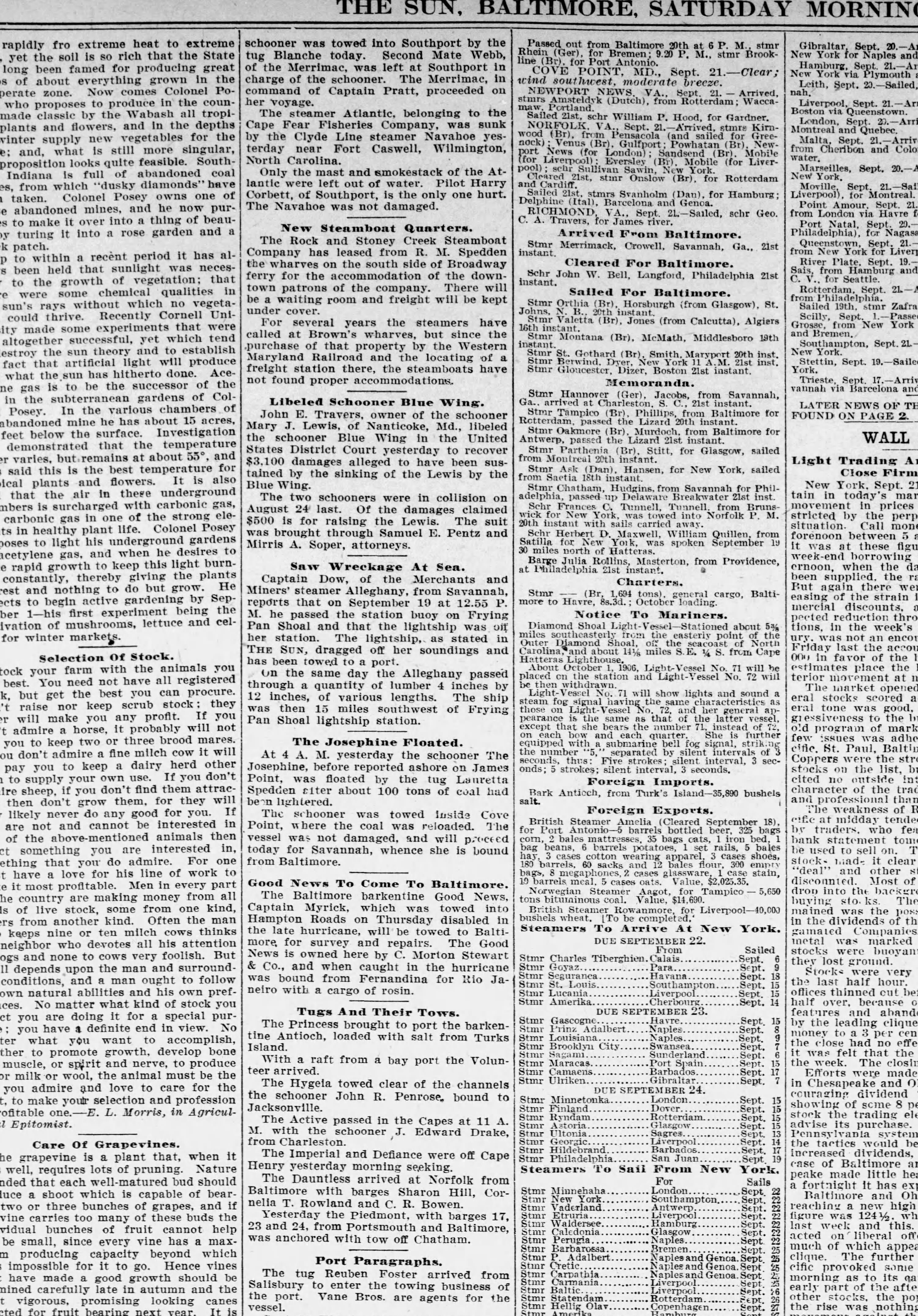 Blue Wing newspaper article